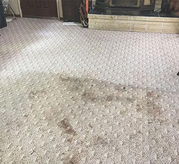 Before and after of our residential carpet cleaning in Everett, WA.